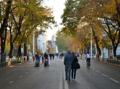 Предстоящие выходные могут стать последними теплыми днями на Кубани этой осенью