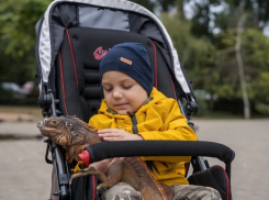 Два отказа спустя: краснодарскому мальчику со СМА все же разрешили поставить жизненно важный укол