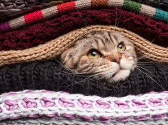 Стало известно, когда в Краснодаре включат отопление