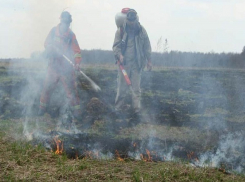 На Кубани объявлен максимальный 5-й класс пожароопасности 