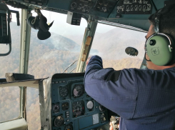 Лесные пожары Кубани: осталось два очага возгорания