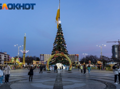 Мэрия Краснодара потратит полмиллиона на новогодний праздник с Драконом