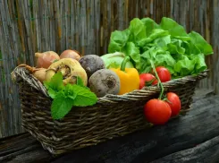 Сервис экспресс-доставки местных фермерских продуктов запустили на Кубани