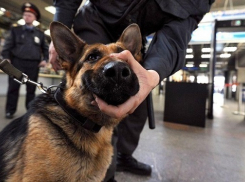 Гендиректор оргкомитета «Россия-2018»: «Угрозы в Сочи находятся под контролем»