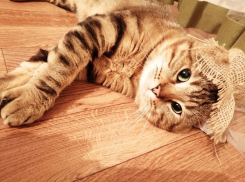 Град, гроза и сильный ветер вернутся на Кубань 1 августа 