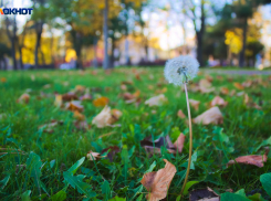 Бульвар в Краснодаре хотят расширить за счет сноса торгового павильона