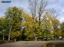 Температура в Краснодаре опустится до +10 градусов