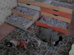 В Краснодаре полиция проверяет информацию о заразившем ребенка воспитателе детсада