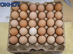 Цены на яйца, сметану и картофель ударили по карману краснодарцев