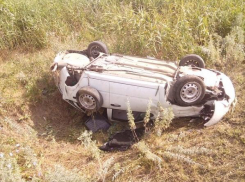 За выходные на дорогах Кубани в ДТП пострадал 81 человек
