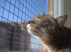 На Кубани тепло, но в некоторых районах пройдут дожди