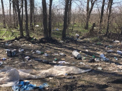  «Какие свиньи»: Краснодарцы убрали одну из старейших свалок города 