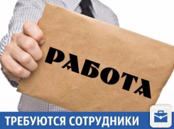 Перспективную работу предлагают в Краснодаре