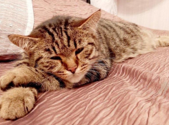 Погода в Краснодарском крае 20 декабря будет переменчивой