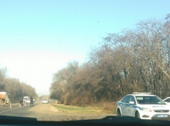 Погибшие в массовом ДТП в Тихорецком районе были сотрудниками полиции