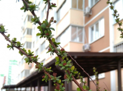 Дождями и сильным ветром встречает весну Кубань