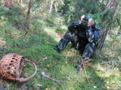 МЧС: В лесу существуют свои правила и их необходимо соблюдать