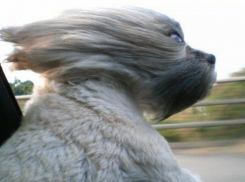 На Кубани синоптики обещают потепление с 22 марта 