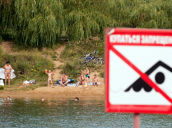 В Крымском районе запретили купаться в водоемах из-за опасной инфекции