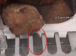 Мышь на прилавке с едой в краснодарском супермаркете попала на видео