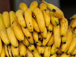  На трассе под Армавиром из перевернувшейся фуры рассыпались несколько тонн бананов