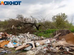 В Краснодаре строители вместо вывоза мусора просто засыпали его землёй