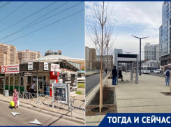 Красота и уродство: остановка краснодарского цирка теперь в европейском стиле