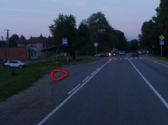 На Кубани женщина-водитель насмерть сбила трех пешеходов