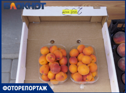 Под Краснодаром показали цены на фрукты, ягоды и овощи