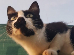 Где-то дожди, а где-то солнце: погода на Кубани продолжает удивлять