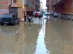  На должность куратора «Музыкального» микрорайона в Краснодаре претендуют безработный и штукатур 4-го разряда 