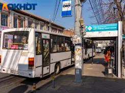  Прокуратура разобралась в истории с высадившим девочку-инвалида краснодарским маршрутчиком