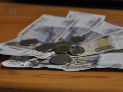 Мошенники на Кубани наворовали пособий по безработице на 50 тысяч рублей