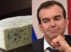 Кондратьев оценил кубанский сыр с голубой плесенью 