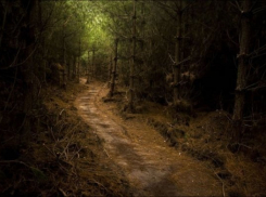 Под Горячим Ключом в лесу обнаружили тело 83-летней женщины 