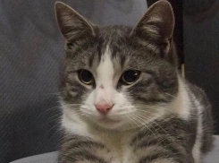 Мокрый снег и дождь ожидаются на Кубани