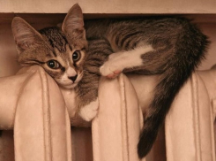 В Горячем Ключе со скандалом уволят заместителя главы по ЖКХ 