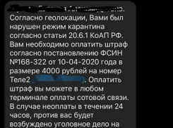 Оперштаб Кубани зафиксировал новый вид «коронавирусного» мошенничества