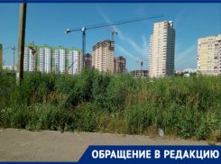  «Сотрудник мэрии посоветовал обратиться в «Блокнот Краснодар», – местная жительница пытается добиться покоса сорняка 