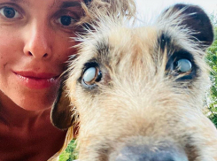 У слепого пса из Сочи, о котором в Сети рассказала Водянова, появился дом