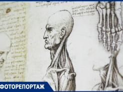 Культовые изобретения Да Винчи в Краснодаре в объективе фотографа