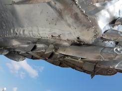 В Новороссийске памятник хамсе растаскивают «на сувениры»