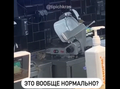 В «Магните» на Фестивальном поселились воробьи