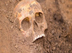 Человеческие останки нашли на одной из строек Краснодара