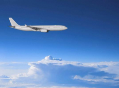 Турецкую авиакомпанию накажут за перевезённого в Сочи нелегала