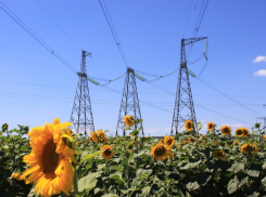 38 тысяч обращений от потребителей обработал Юго-Западный филиал «Россети Кубань»