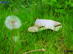 В Краснодарском крае 10 августа будет очень жарко и без осадков