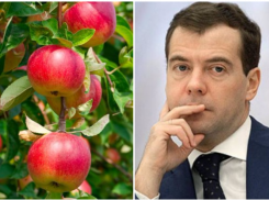 «Кузен» Дмитрия Медведева купил агрофирму в Краснодаре 