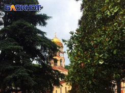 «Дороги разбиты, машины носятся, полно несчастных голодных кошек и собак»: туристы рассказали, почему разочаровались в Абхазии