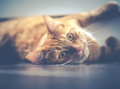  Осадки на Кубани прекратятся